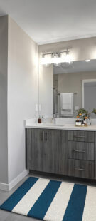 NBW_staging_master_bath